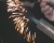 combustion du fer