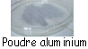poudre aluminium